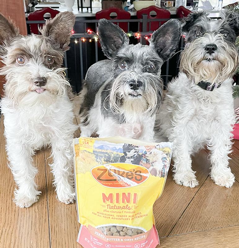 Three of my dogs posing with Mini Zukes.