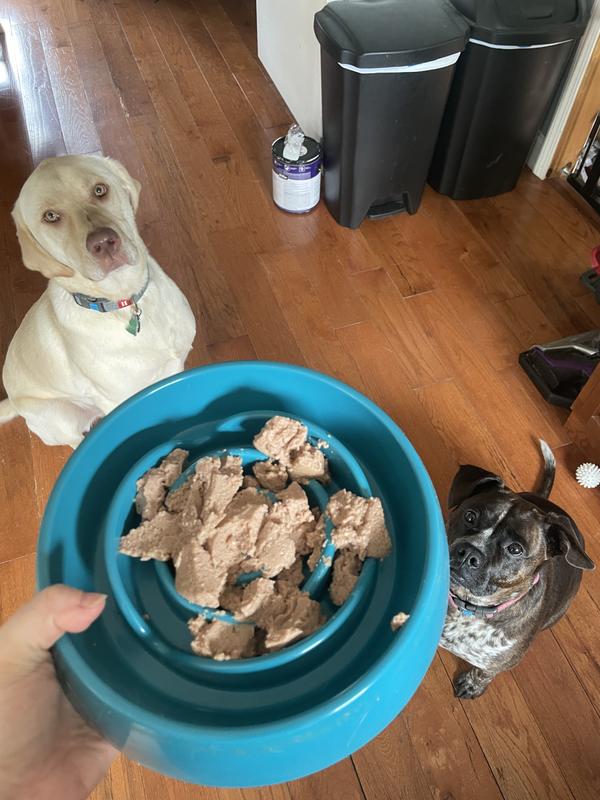I turned around from preparing the first bowl and they were both waiting!