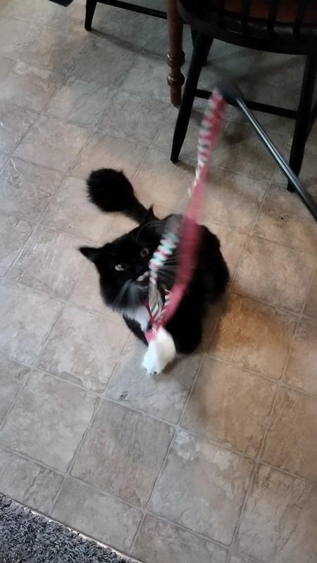 Ha! I got you now! =^.^=