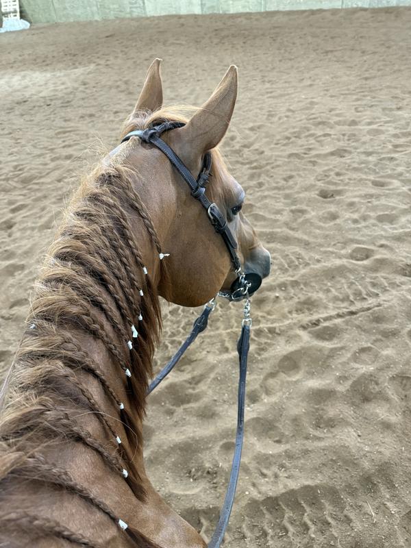 Cooler with the braids and loving the tape….