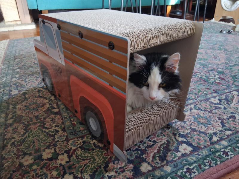 A minute after I set the newly assembled truck on the floor