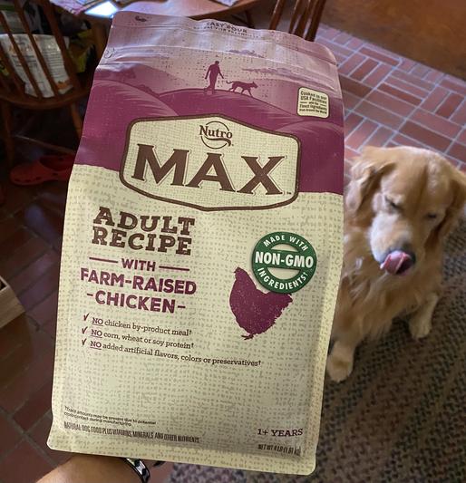 Nutro max sale adult chicken