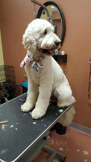 Freshly trimmed!