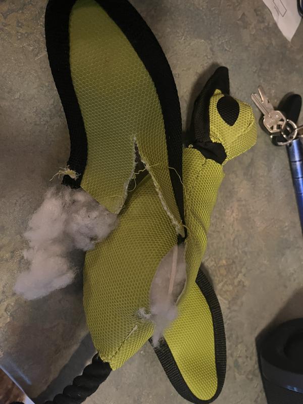 Not as sturdy or as tough as I thought it would be. Split at the seam and the wing was ripped in half.