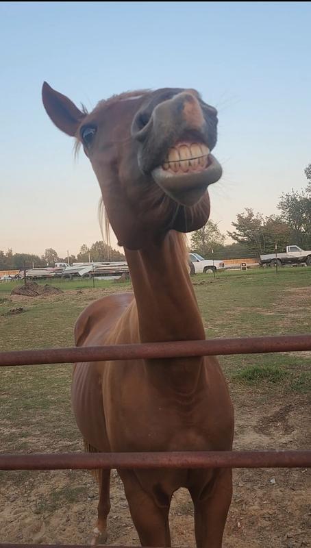 All smiles here!