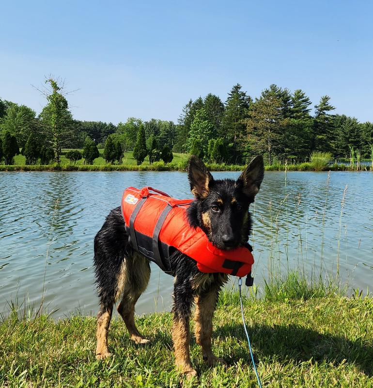Outward Hound Dog Life Jacket Canada Outward Hound Granby RipStop