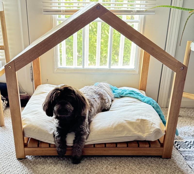 for reference he is a shih tzu about 18 pounds!