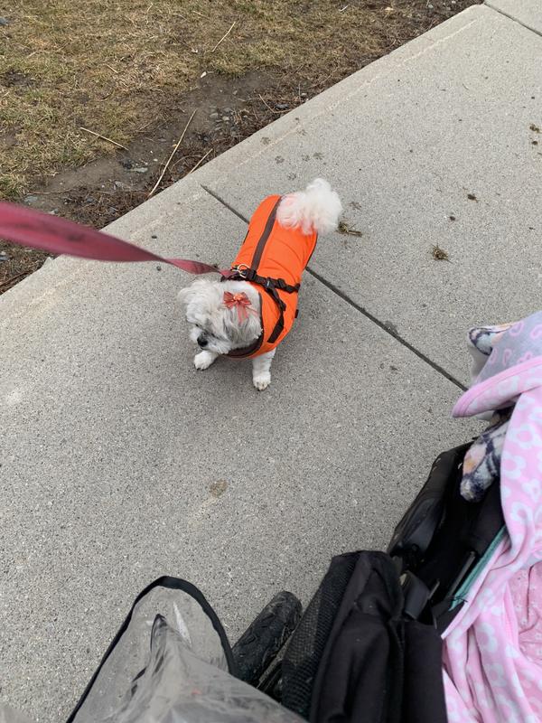 Frisco Small Animal Cage