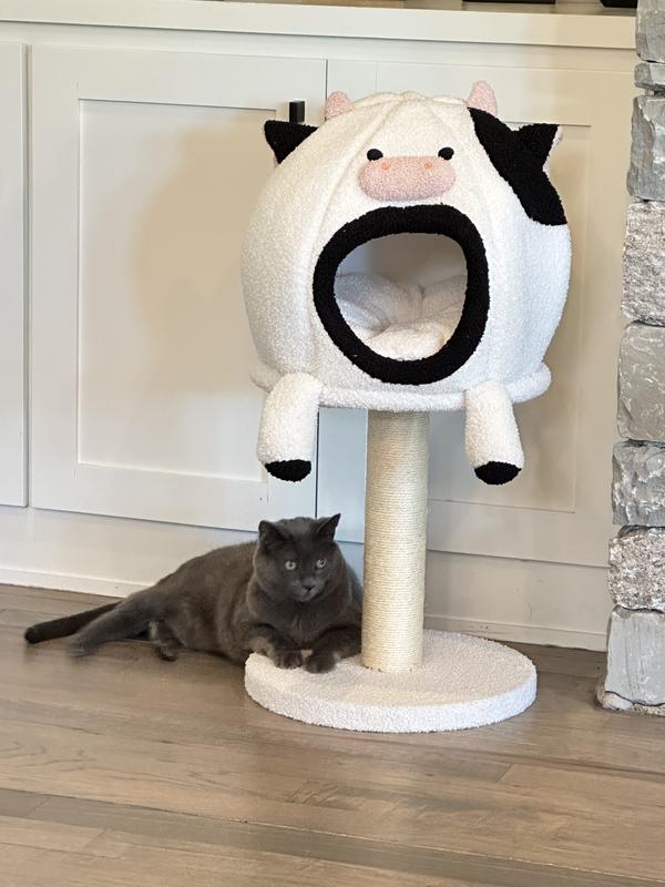 Liked to scratch on the post, too big for the condo I think