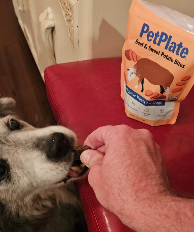 Soft enough for even old guys