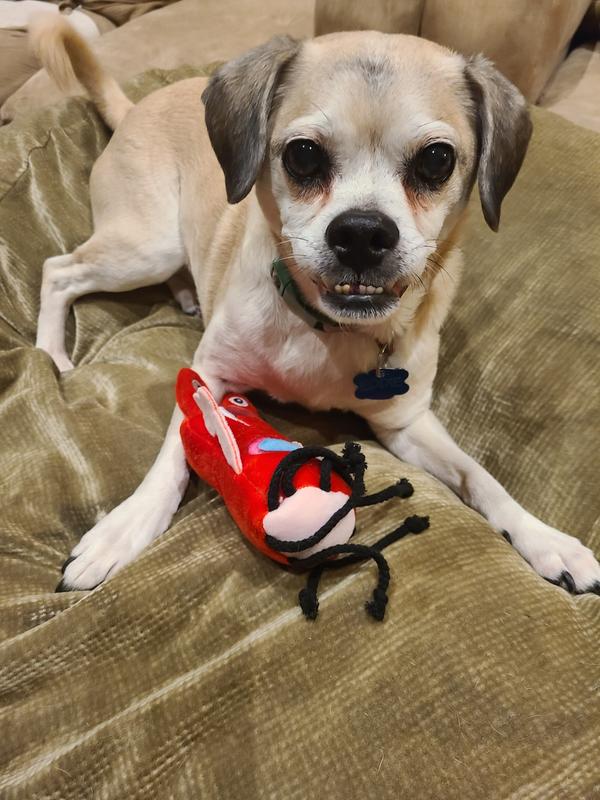 Frisco Pride My Dads Love Me Plush Squeaky Dog Toy