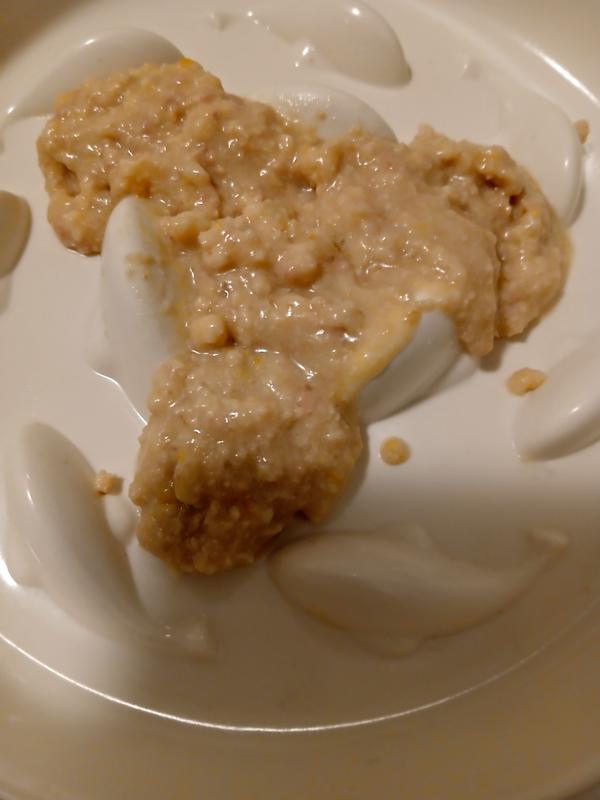 Tiki Cat Silver Pate