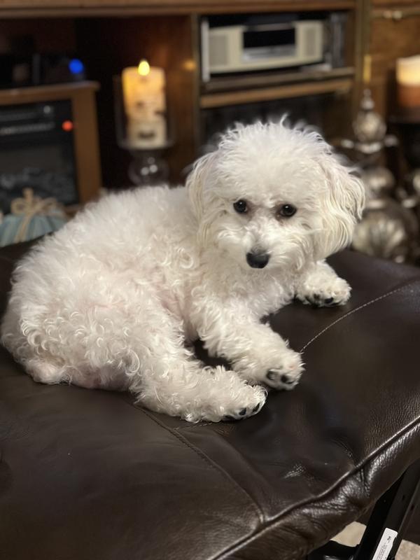 Relaxing after dinner