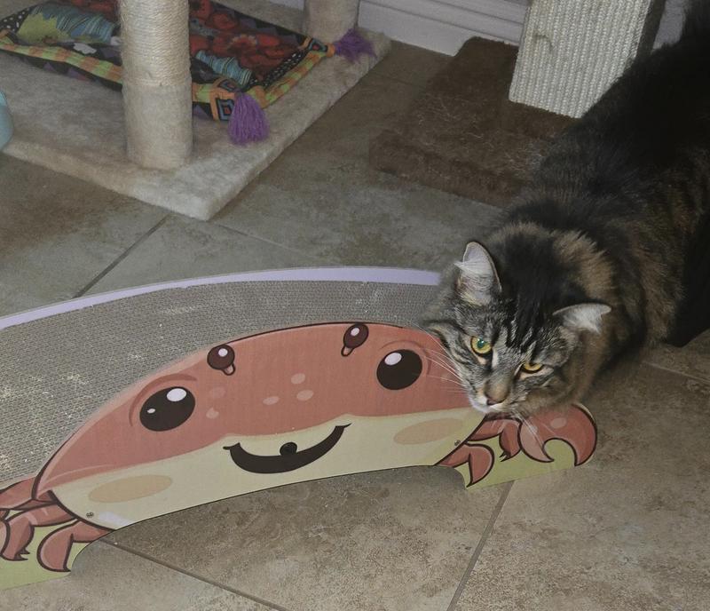 Sniffing out the new toy