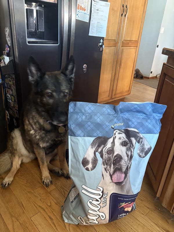Big bags!