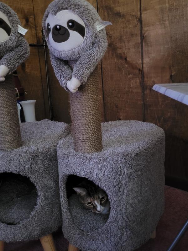 So cosy!