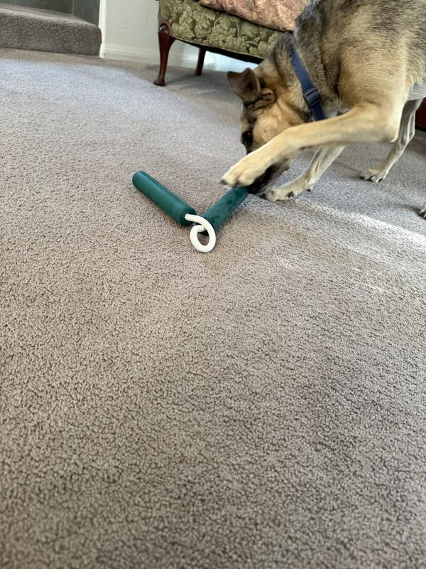 ? how does this work?