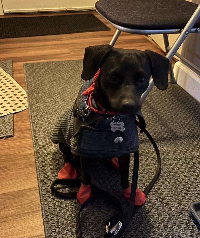 This is size small which come in black or red.