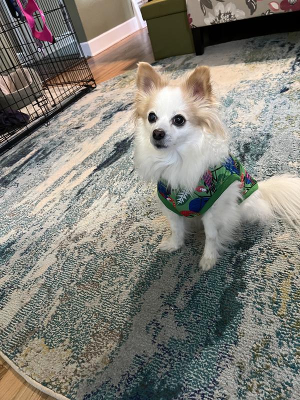 Loungin in her new tee