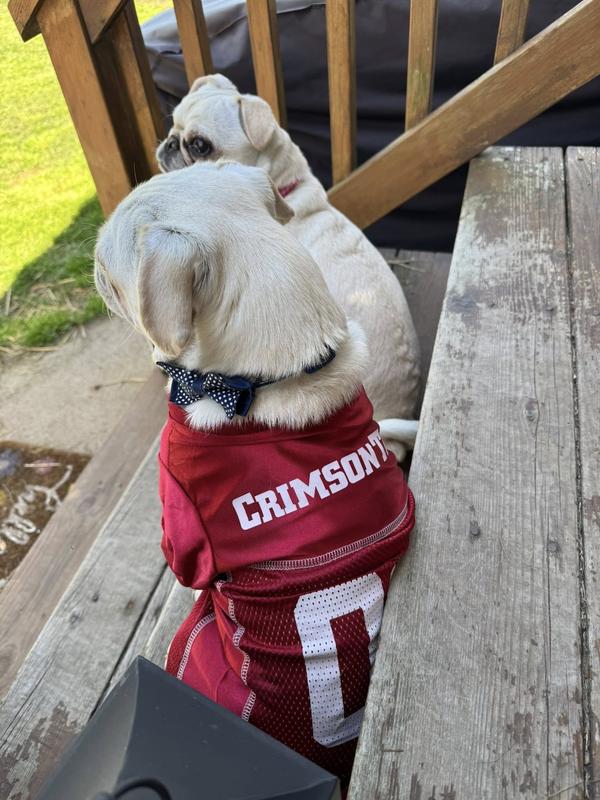 Back of Jersey