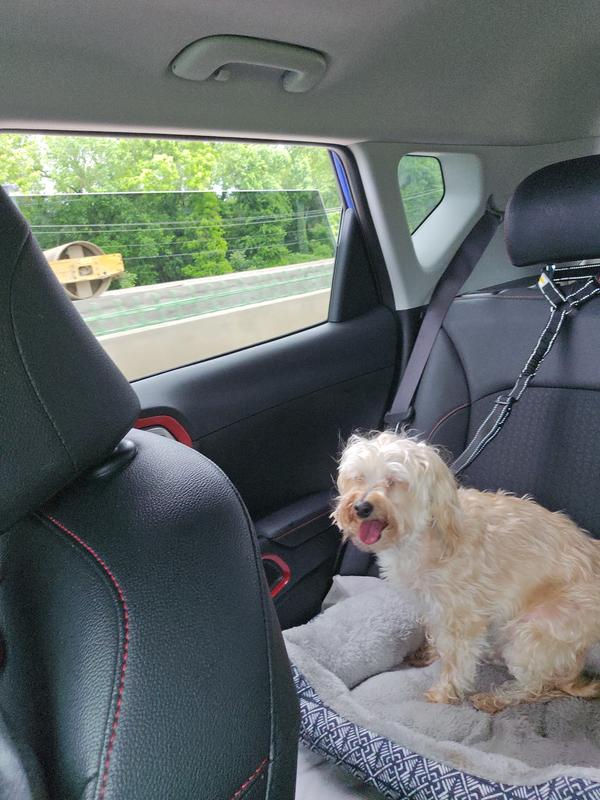 Easy riding