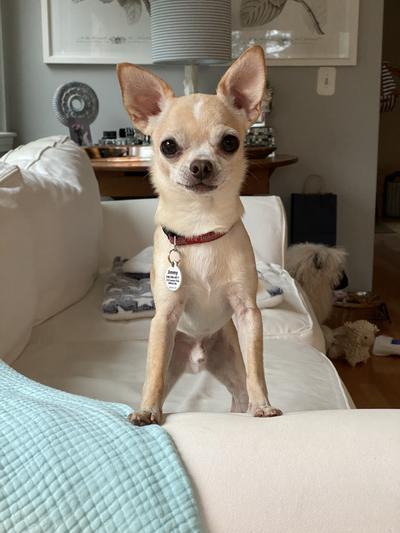 Jimmy Bean