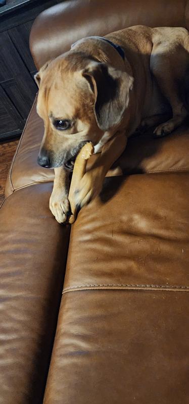 Dallas liked the chicken one.