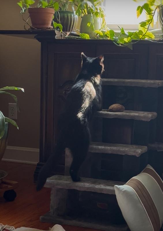 Here she is in action!