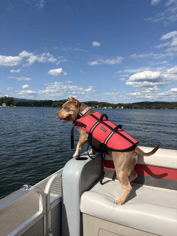 Going to my playtime