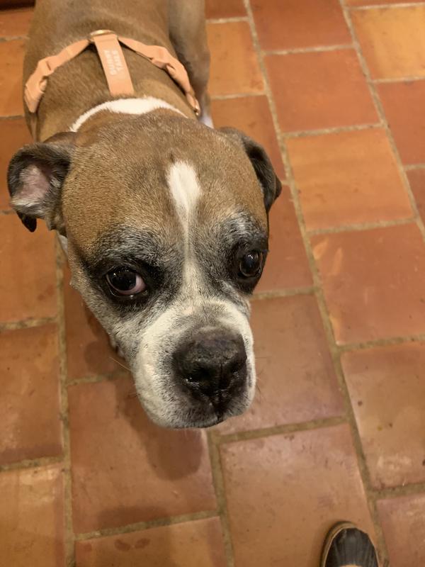 Didn’t really help, But maybe it was so soothing for him