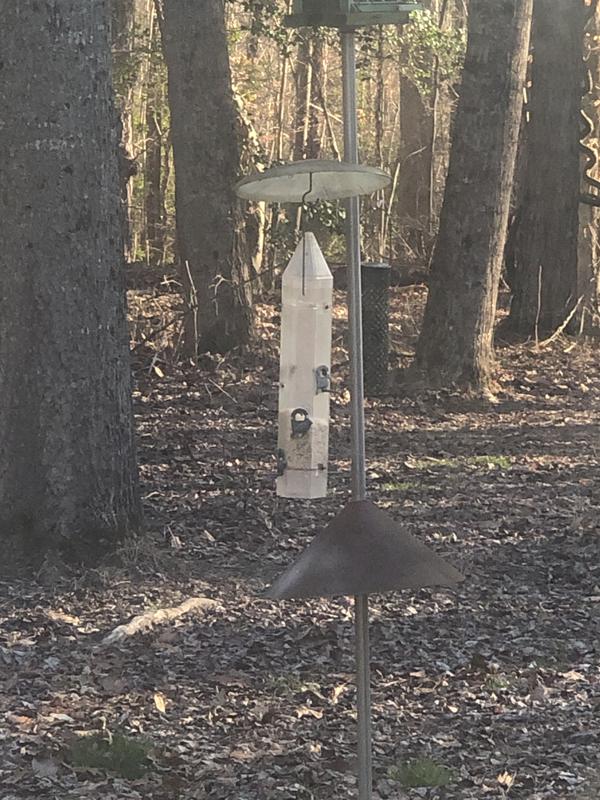 C&S Wild Bird Nugget Bird Feeder