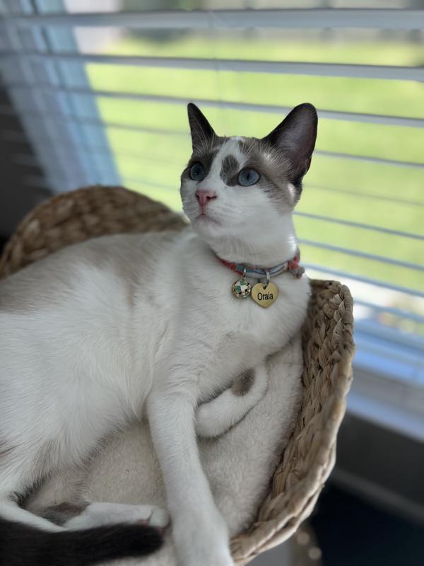 Beautiful, lightweight, perfect size