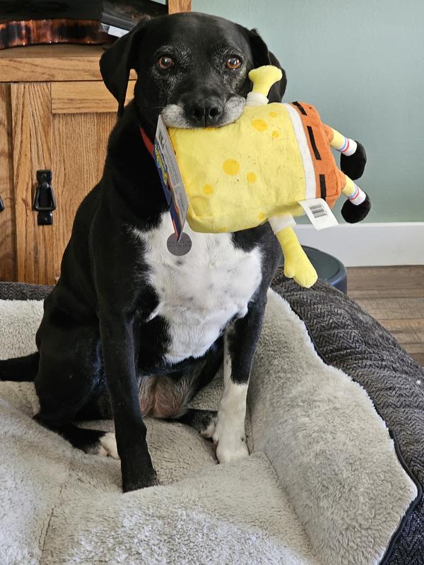 She didn't wait for me to take the tags off!