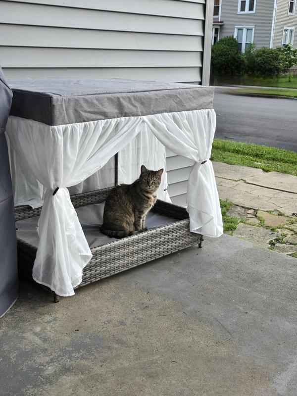 Temporarily Unavailable FRISCO Wicker Outdoor Covered Canopy Dog Bed