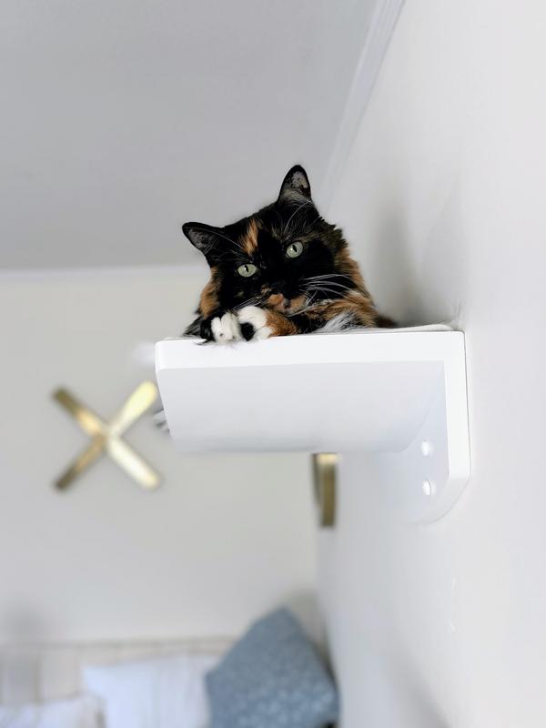 She's obsessed with her bed, and we're obsessed with her.