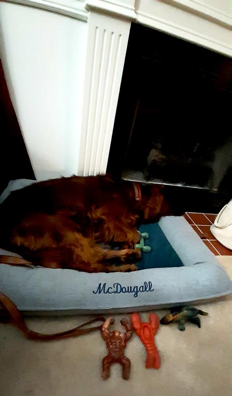 Loves the raised part of his bed!