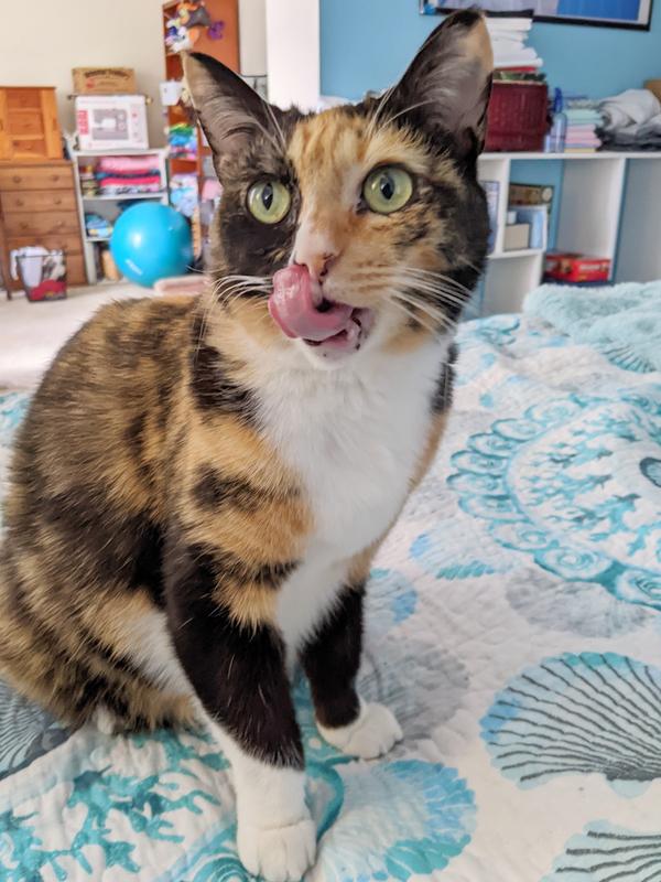 Joplin knows what's delicious!
