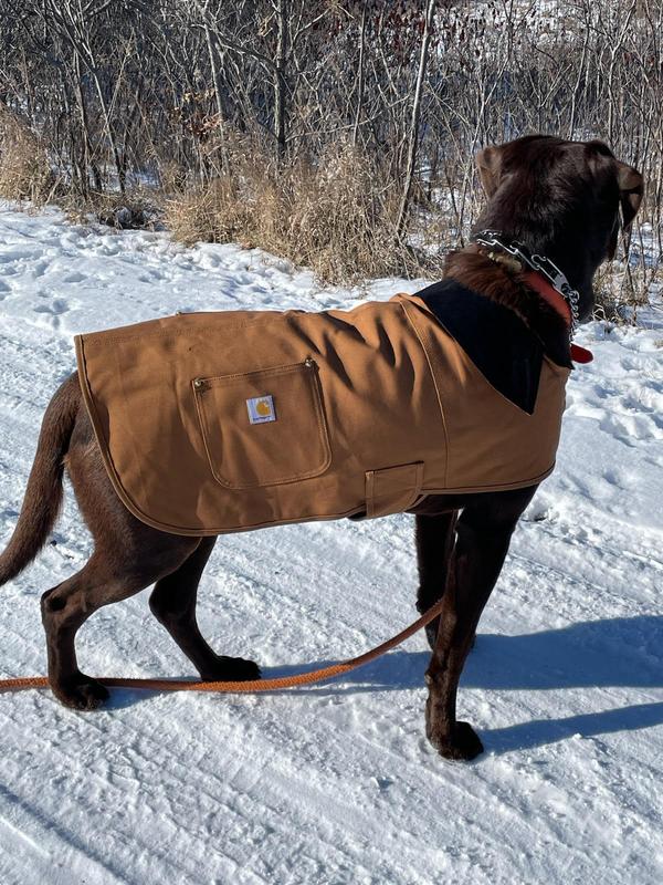 Golden Retriever Carhartt Chore Insulated Dog Coat Carhartt Dog