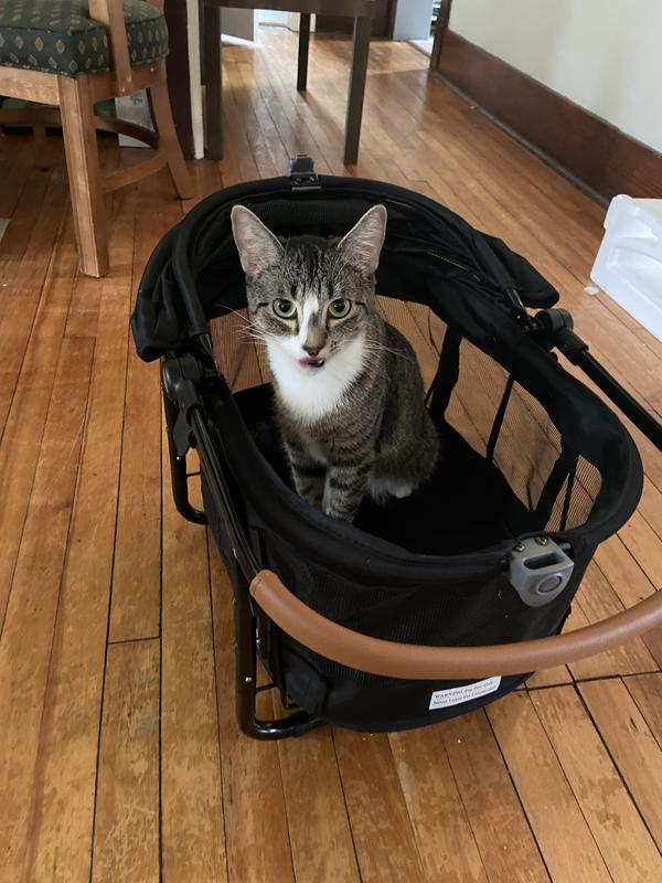 PET GEAR View 360 Booster Travel System Dog & Cat Carrier, Grey Animal