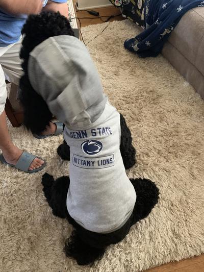 Penn state hotsell dog sweater