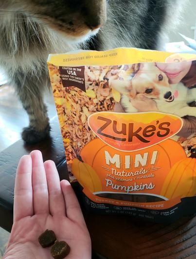 Zukes pumpkin clearance treats