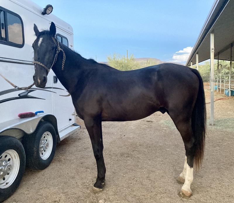 Chance before Key-Plus