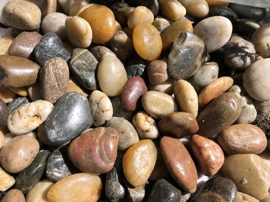 Just a closeup to share the beauty