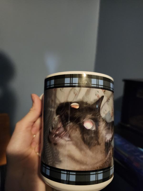 Best pic of my old girl.