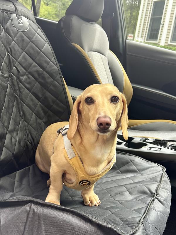 Brady modeling the car seat protector-