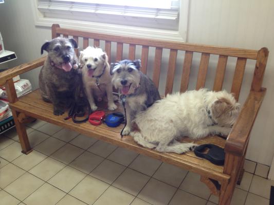 The usual crew minus two - my spitter is on the left end!