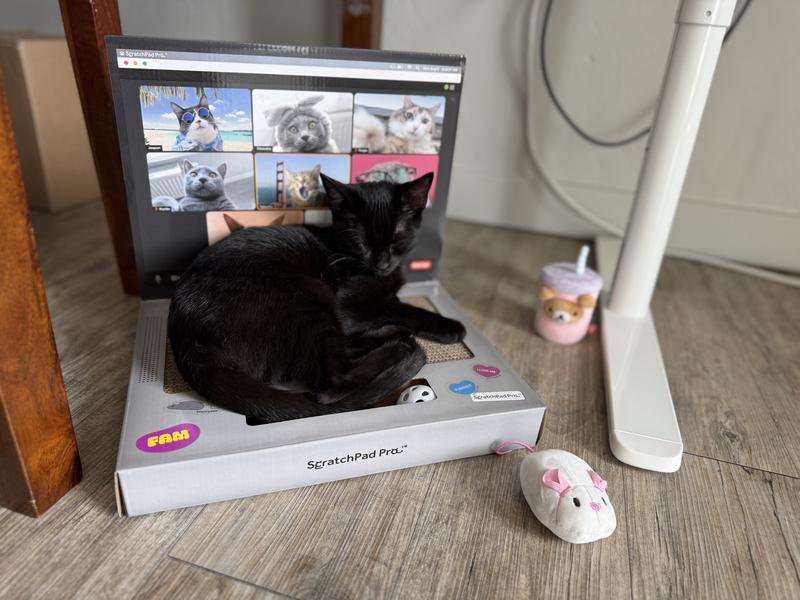 workin’ hard or hardly workin’