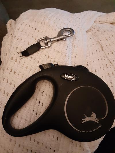 Out of Stock - FLEXI Classic Nylon Tape Retractable Dog Leash, Black,  Large: 26-ft long - Chewy.com