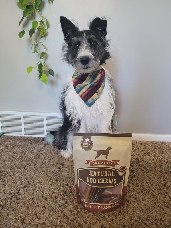 Size of packaging. My dog is 30lbs for reference.