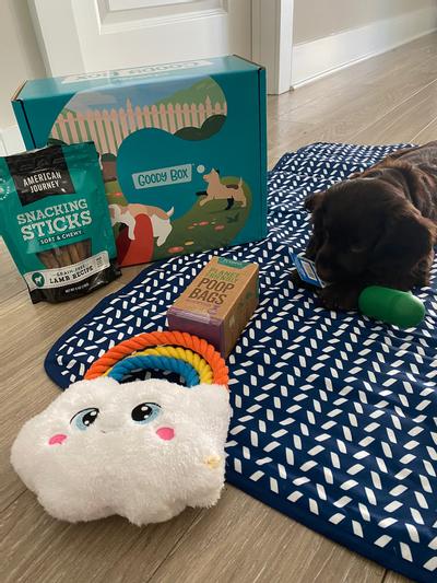 GOODY BOX Chewy Dog Toys, Treats, & Bandana reviews 